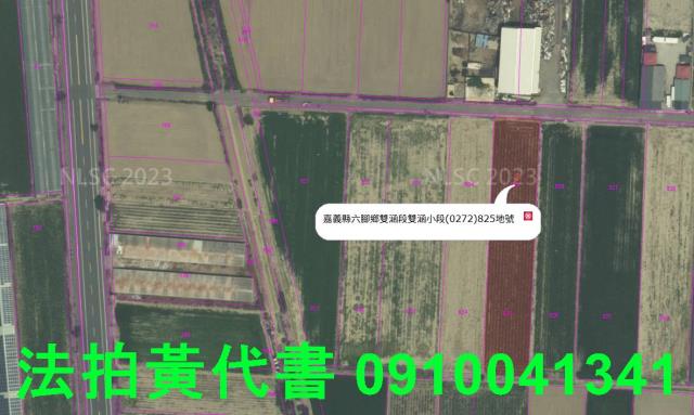 六腳農地法拍-5