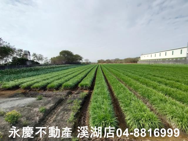 彰化農地-1