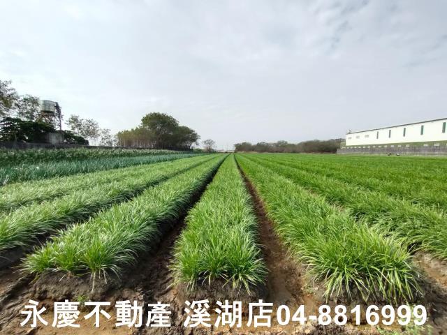 彰化農地-4