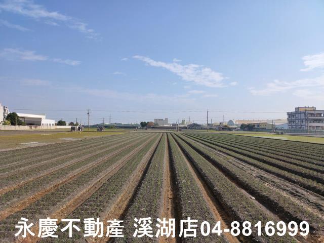 彰化農地-3