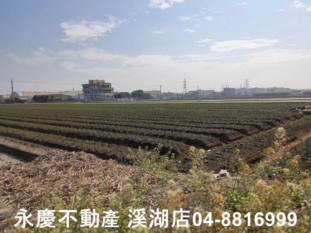 彰化農地-5