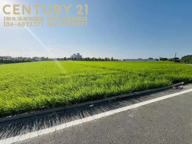 竹塘農地-4