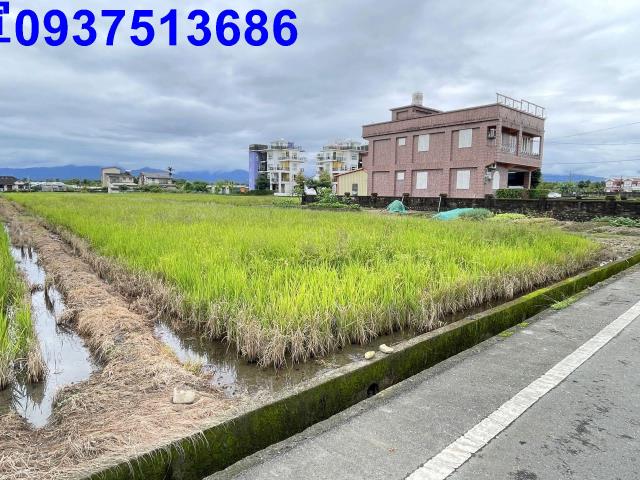 員山農地-2
