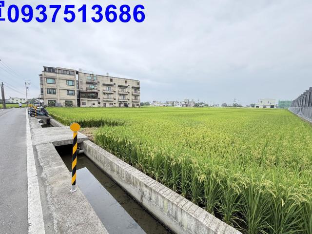 壯圍農地-4
