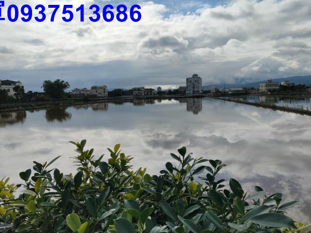 礁溪農地-6