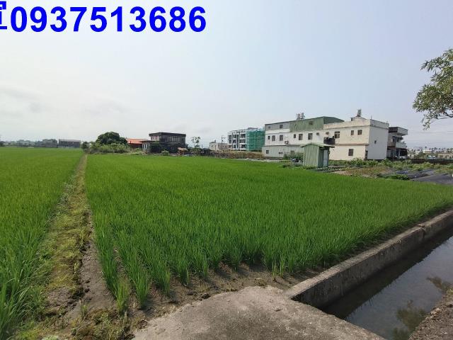 壯圍農地-10