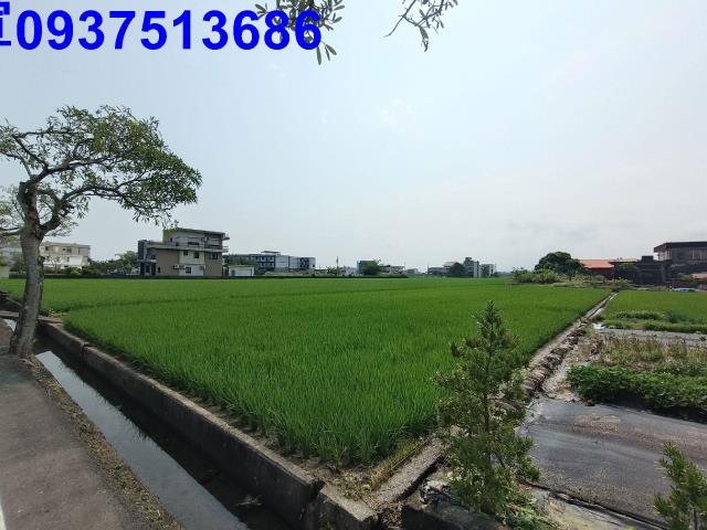 壯圍農地-1
