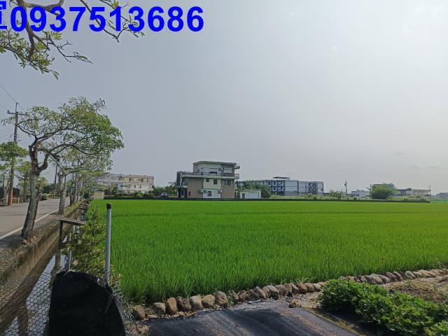 壯圍農地-2
