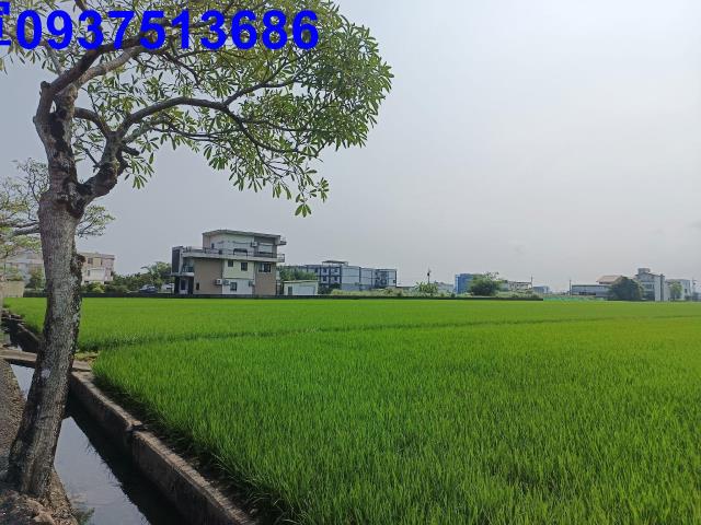 壯圍農地-3