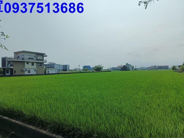 壯圍農地-4