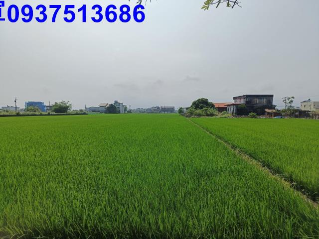 壯圍農地-5