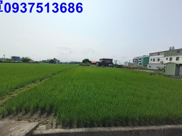 壯圍農地-6