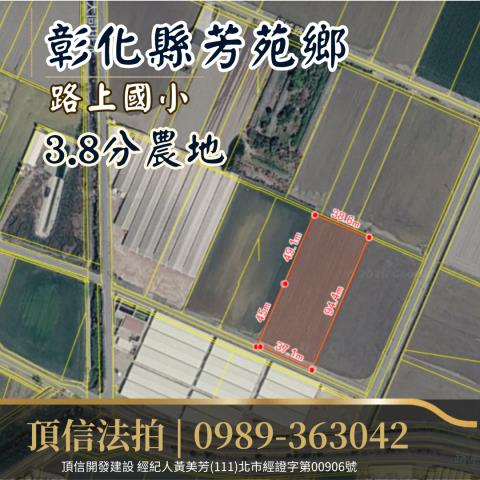 芳苑農地法拍-2
