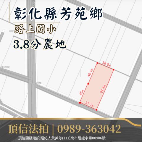 芳苑農地法拍-3