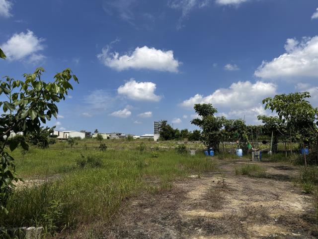 安南農地-6