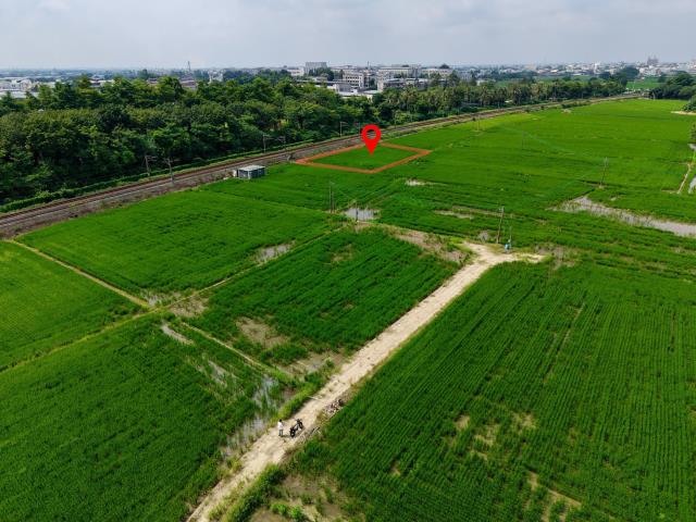 民雄農地-2