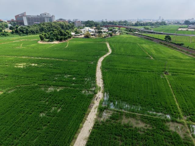 民雄農地-4