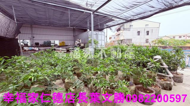 後壁農地-2