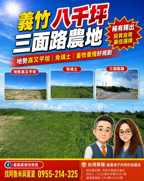 義竹農地-1