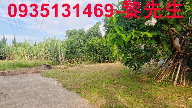 新竹農地_林地-12