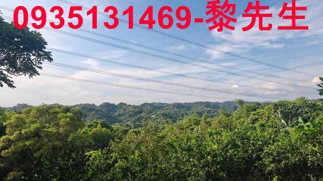 新竹農地_林地-13