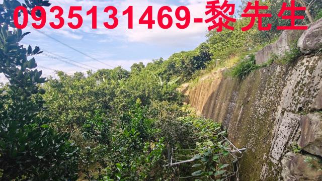 新竹農地_林地-14