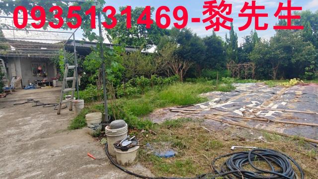 新竹農地_林地-4