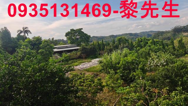 新竹農地_林地-5
