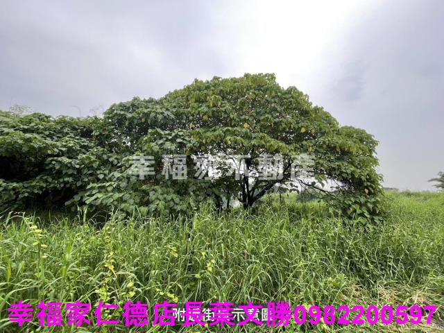 台南農地-9