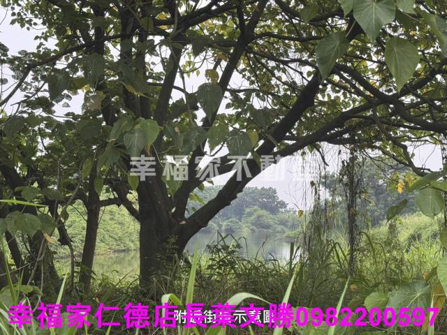 台南農地-10