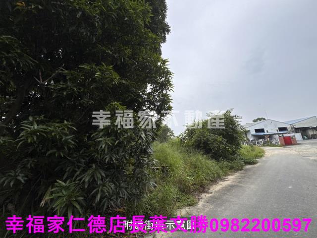 台南農地-2