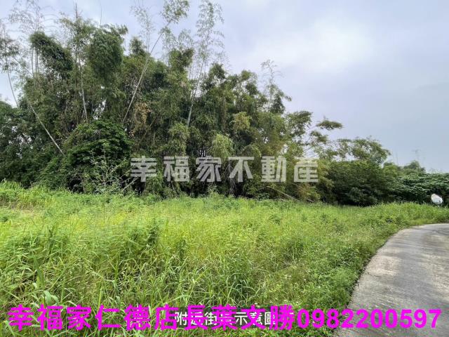 台南農地-5