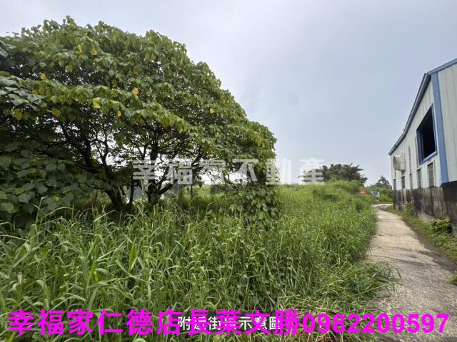 台南農地-8