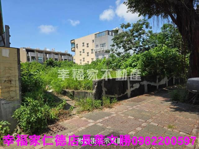 台南農地-6