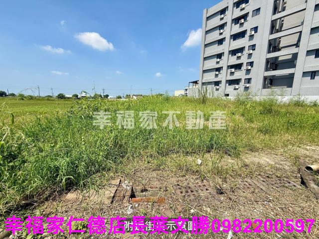 台南西港農地-13