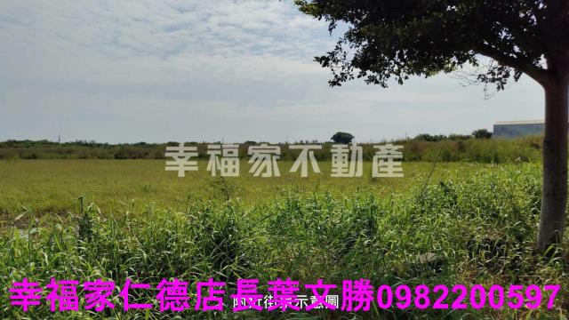 台南七股農地-14