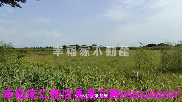 台南七股農地-3