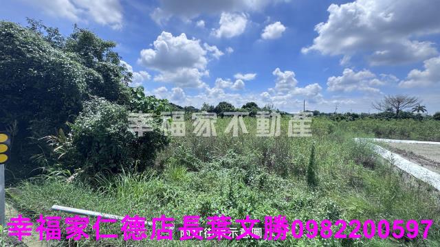 台南新化農地-11