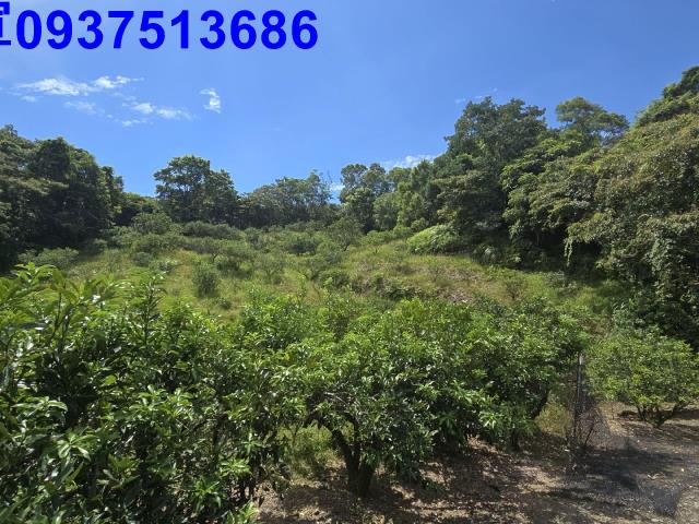 宜蘭礁溪農地_山坡地-11