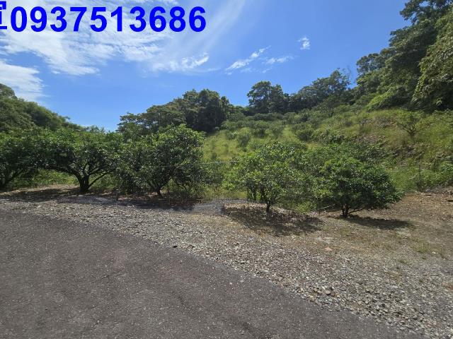 宜蘭礁溪農地_山坡地-12