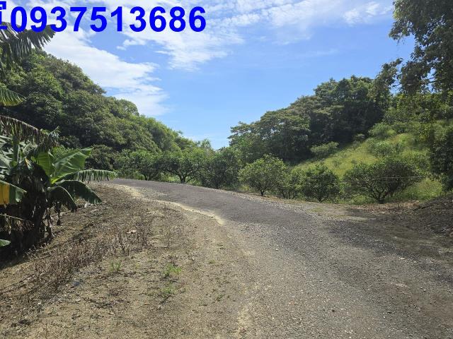 宜蘭礁溪農地_山坡地-2