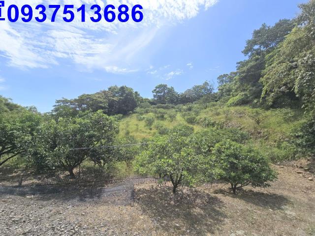 宜蘭礁溪農地_山坡地-3