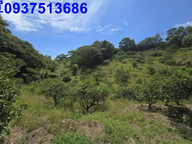 宜蘭礁溪農地_山坡地-4