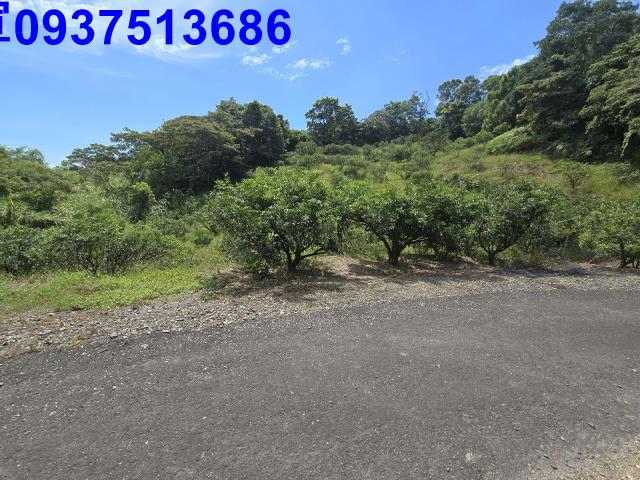 宜蘭礁溪農地_山坡地-5