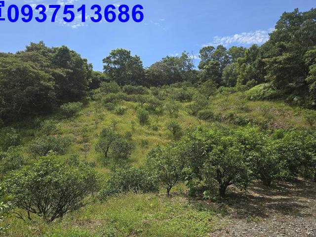 宜蘭礁溪農地_山坡地-6