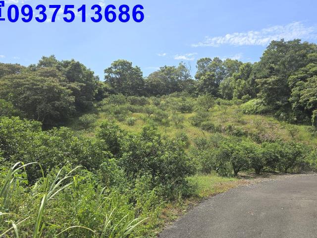 宜蘭礁溪農地_山坡地-7