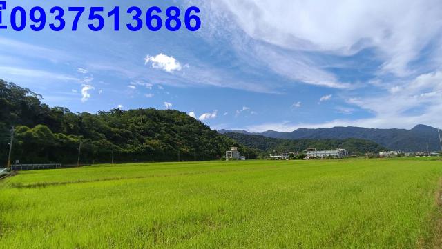 宜蘭礁溪農地-14