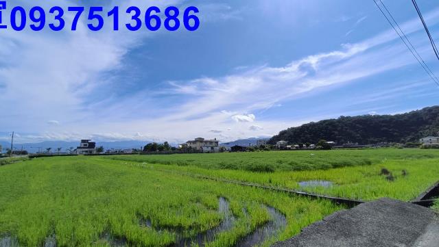 宜蘭礁溪農地-15