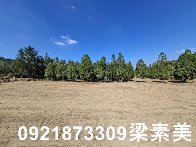 玉井農地-0