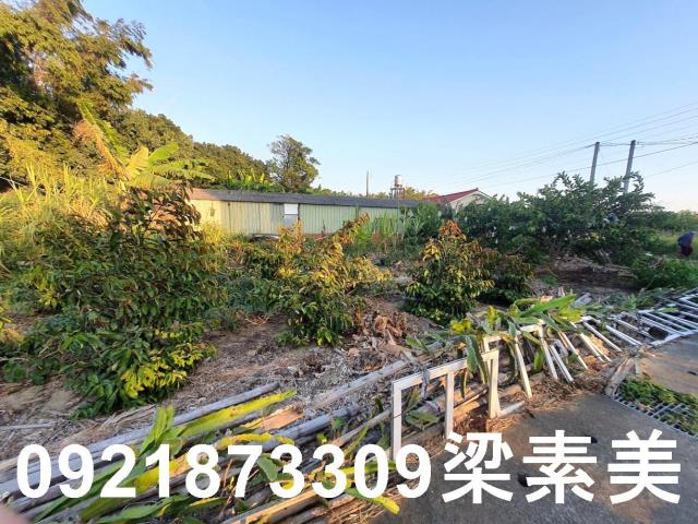 佳里建地-9